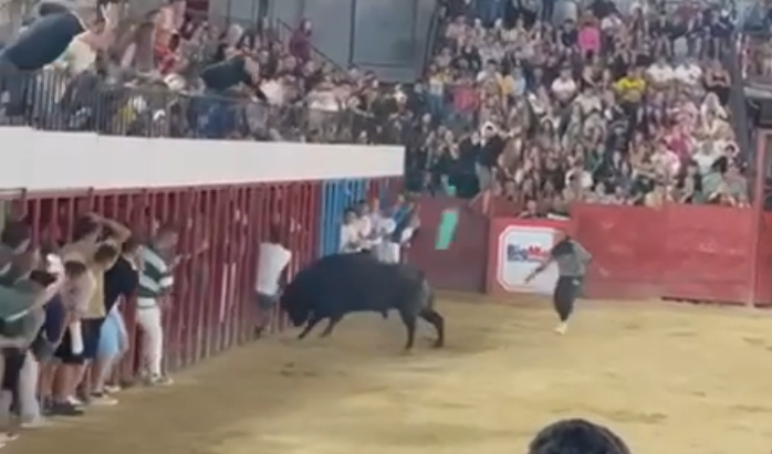 Herido grave un joven al ser corneado por el toro del aguardiente