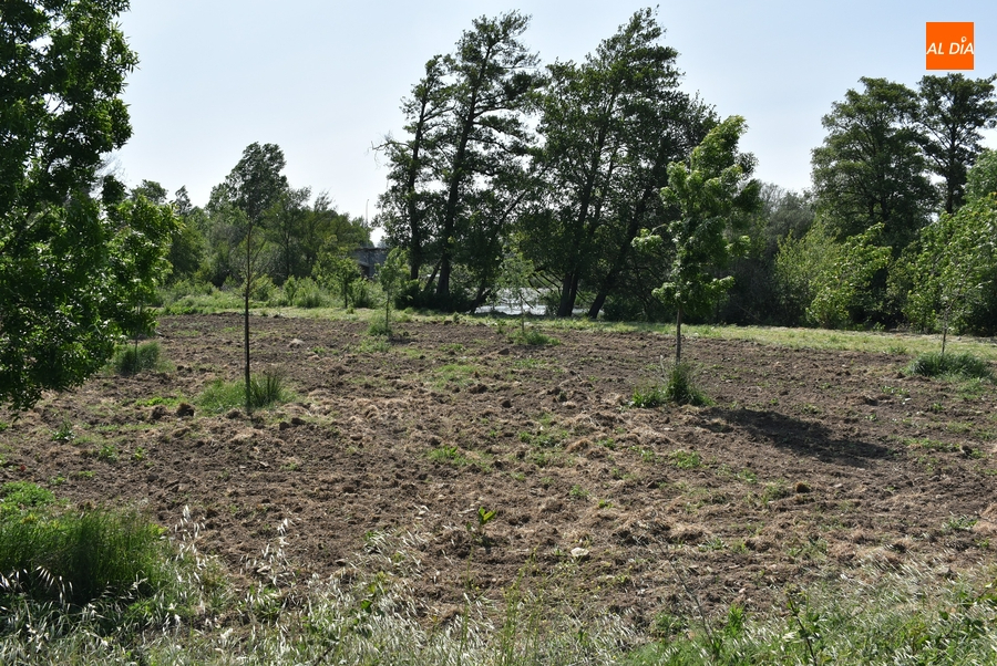 La ‘futura’ Alameda de la Moretona contará con juegos, caseta-bar, aseos y una pasarela