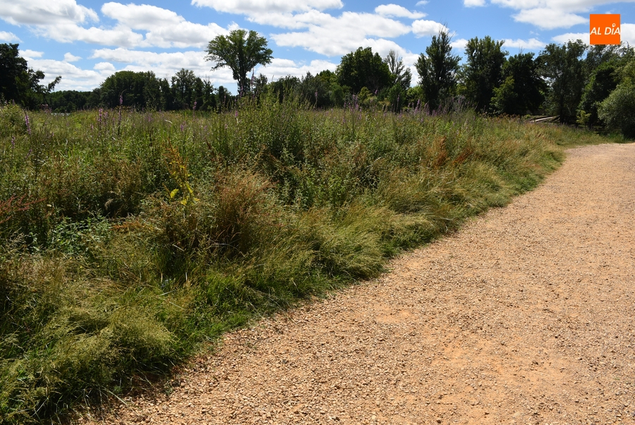 Quejas por el estado de la hierba junto al río y en plazuelas del centro histórico