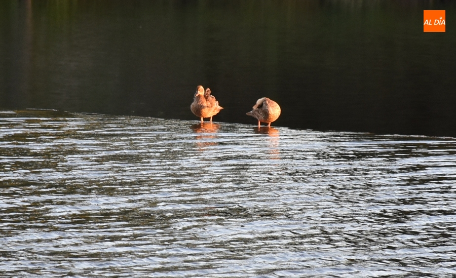 1Foto: Disfrutando de los últimos rayos del sábado
