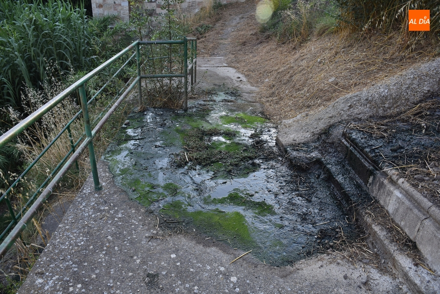 Alertan de la peligrosidad de uno de los caminos de bajada al río