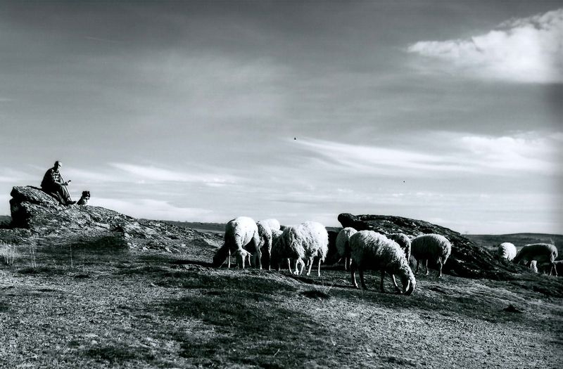 Premios de hasta 1.000 euros en este certamen fotográfico en Salamanca