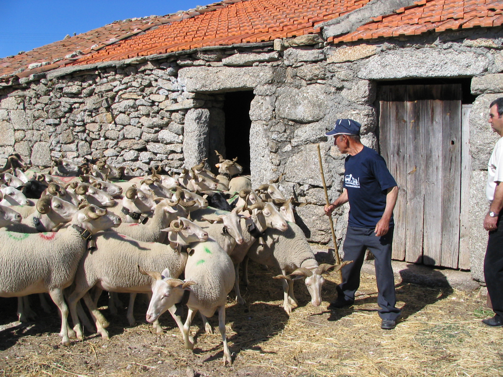 Abogada contra la rabia 