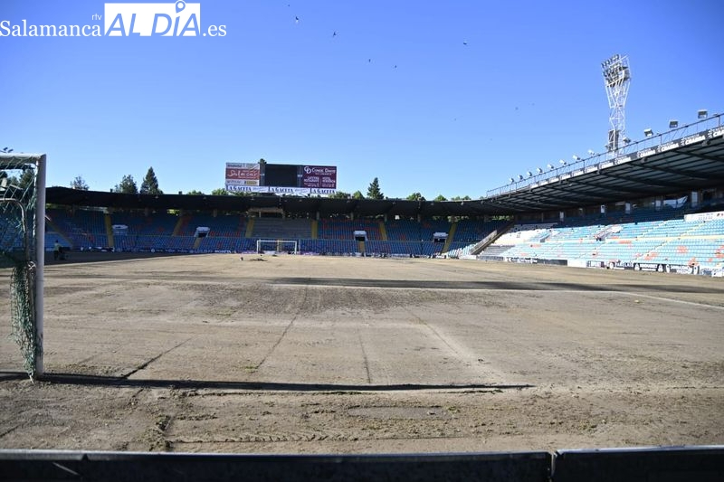 El Salamanca UDS cifra en alrededor de 100.000 euros la obra del césped: habrá cambio de porterías y Royalverd llevará el mantenimiento