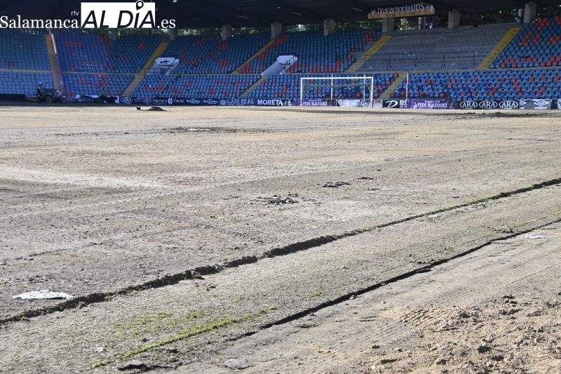 Se dan por finalizadas las obras del césped en el Helmántico: ahora toca cuidados de los esquejes, poner aspersores nuevos, el riego...
