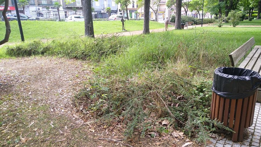 El PSOE critica la grave falta de mantenimiento del Parque de La Florida