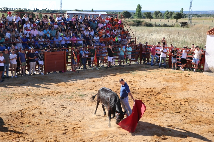 Boada vive con gran intensidad su III Toro de Cajón