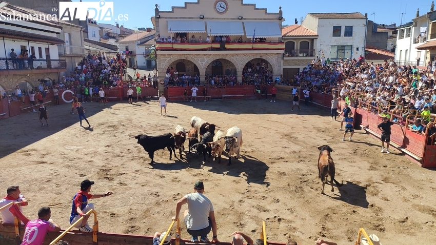 Villarino cuenta ya con su programa de fiestas en honor a San Roque