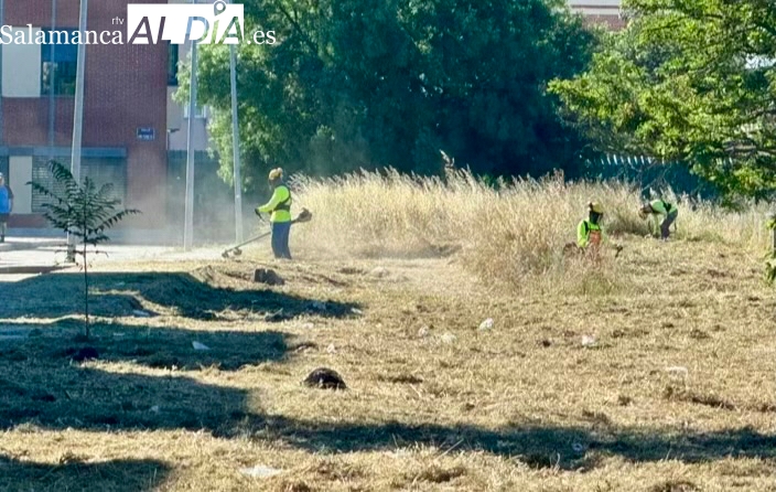 Adif limpia y desbroza por fin el espacio verde que mantiene junto a la estación de tren