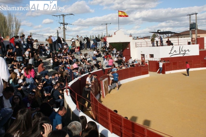 Abierta la licitación de los festejos taurinos de Villoria para las fiestas de septiembre