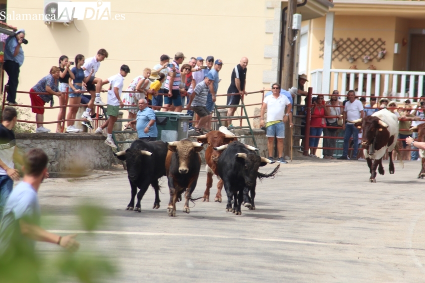Saucelle incorpora a las fiestas de San Lorenzo el Primer Festival de Folclore 