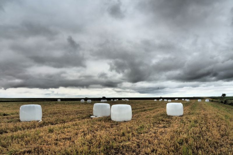 Hasta el próximo año 