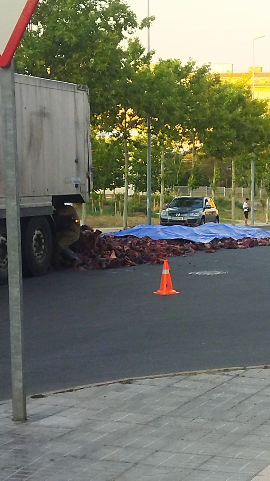Miles de trozos de cerdo acaban esparcidos en plena carretera al caerse de un camión en la calle Astorga