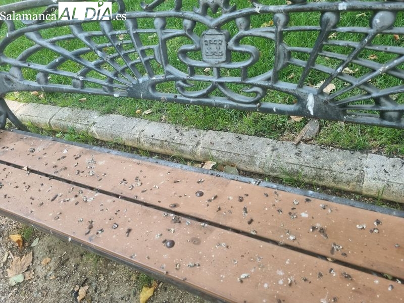 Quejas por la suciedad y excrementos en bancos del parque de la Alamedilla