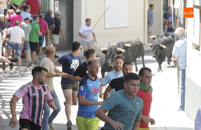 La ganadería de Carmen Valiente pone el broche final a las fiestas de San Buenaventura