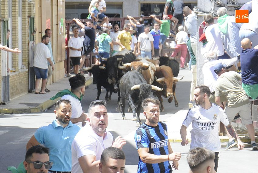 Rápido y limpio primer encierro de San Buenaventura en Moraleja