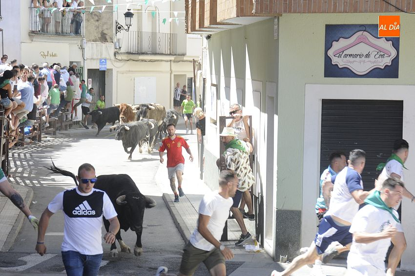 Los Patas Blancas de Monteviejo causan sensación en el penúltimo encierro de las fiestas