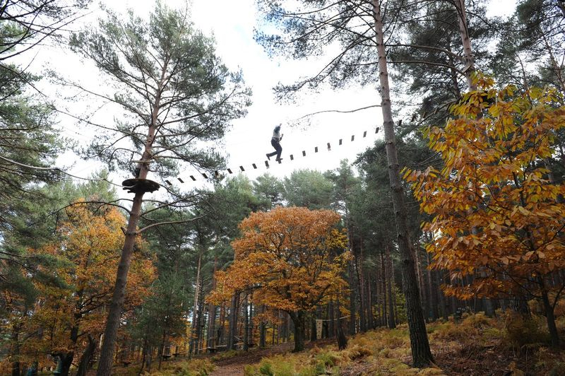 Tirolinas, lianas y puentes entre las copas de los árboles: así es este parque de aventuras a una hora de Salamanca