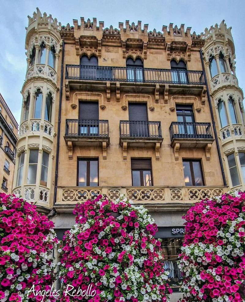 Belleza a nuestro alcance 