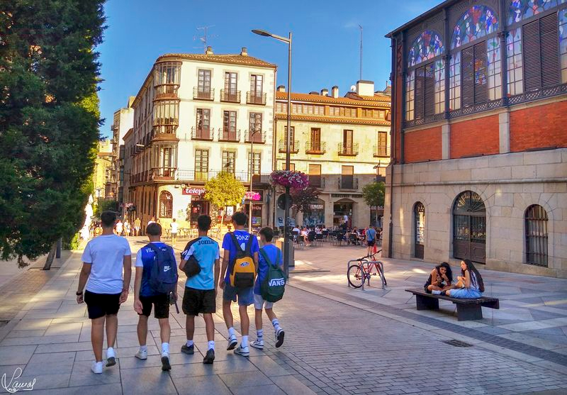 Cada paso de la vida