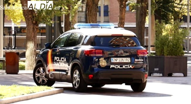 Detenidos por sustraer efectos en un establecimiento del Barrio de Labradores y agredir a un empleado y un cliente