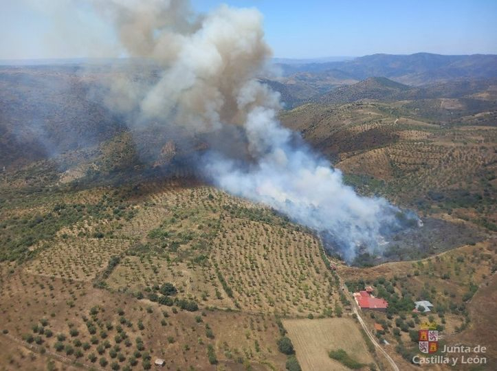 Controlado el incendio forestal que se ha originado cerca de La Fregeneda 