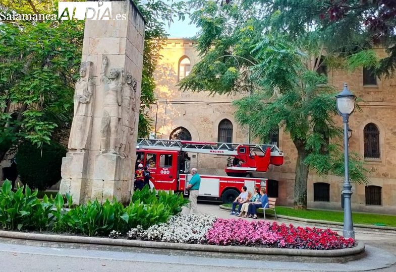 Los bomberos intervienen tras la caída de una rama en los Jardines de las Salesas