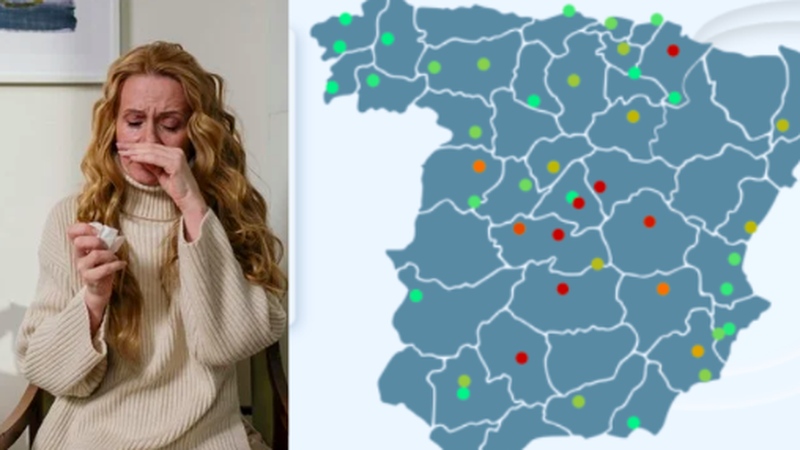 Las alergias más comunes en Salamanca: lugares y tipos más destacados 