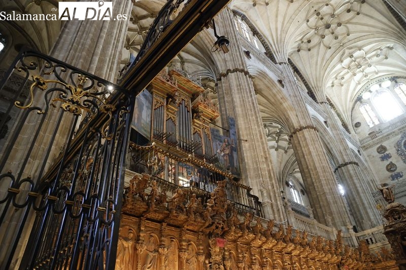 Josep María Mas Bonet ofrece un magnífico concierto en la Catedral Nueva 