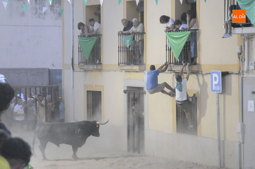 Un toro de Alcurrucén  animó la vespertina tarde del viernes en las calles moralejanas