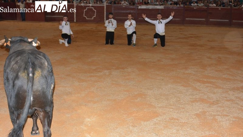 El Concurso Nacional de Cortes llena la plaza de toros de Lumbrales