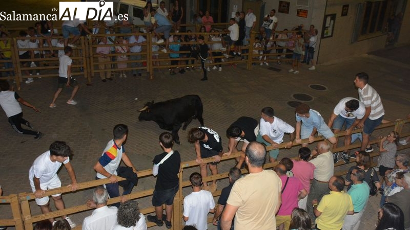 Los toros de cajón anticipan los encierros de las Fiestas de Toros de Lumbrales de 2024