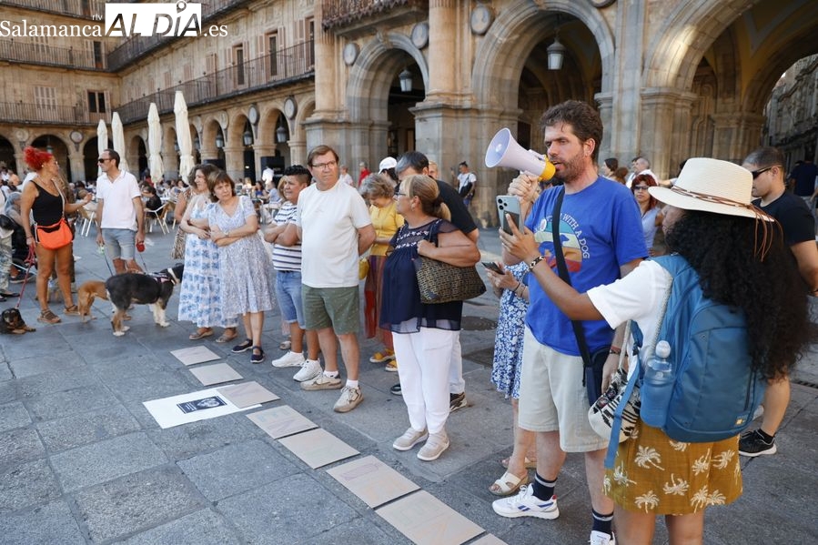 Manifestación en la Plaza por la indignación tras el envenenamiento de dos perros en el pipicán de la avenida Salamanca 