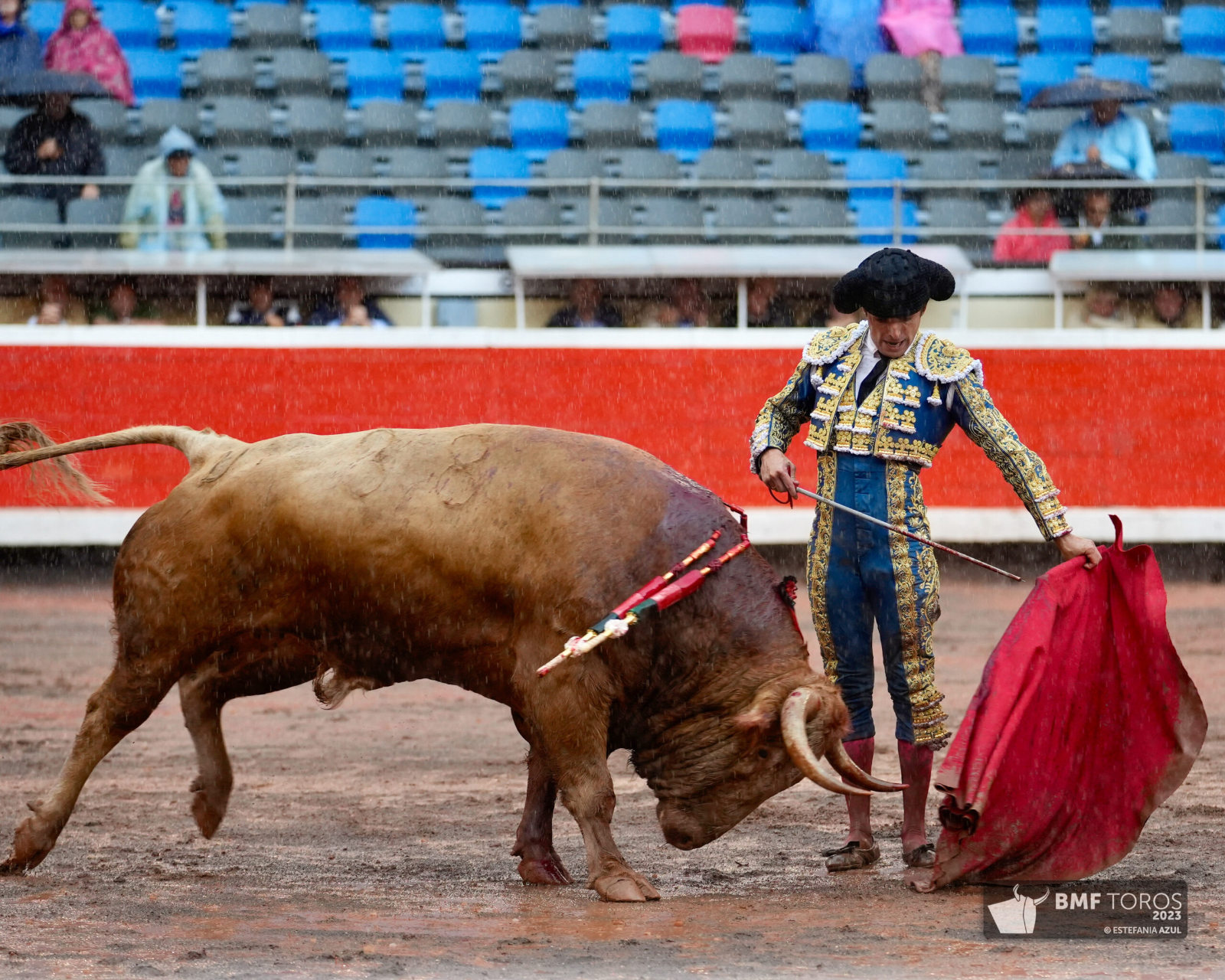 Damián Castaño: El escaparate del domingo es magnífico para lograr un triunfo rotundo