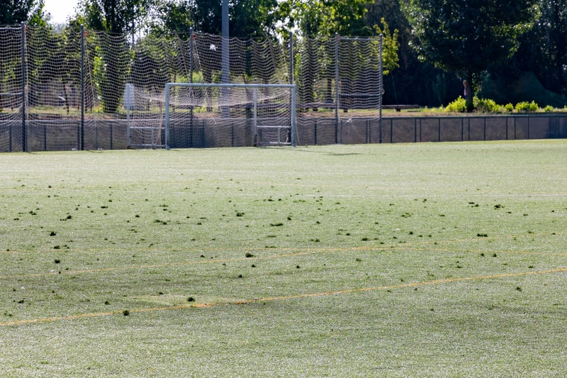El PSOE pide renovar los campos de fútbol de césped artificial de La Aldehuela y La Sindical