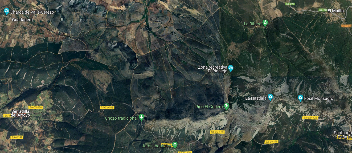 Aprobada la restauración hidrológica-forestal de 210 hectáreas de Serradilla del Arroyo y El Maíllo