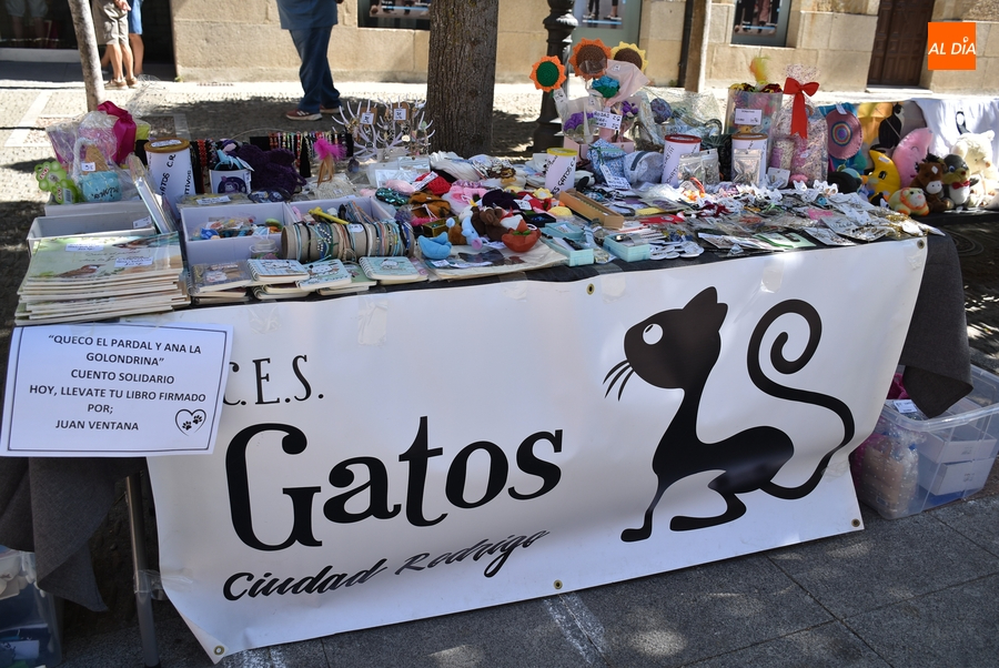 CES Gatos se sumó el sábado al gran ambiente del recinto amurallado