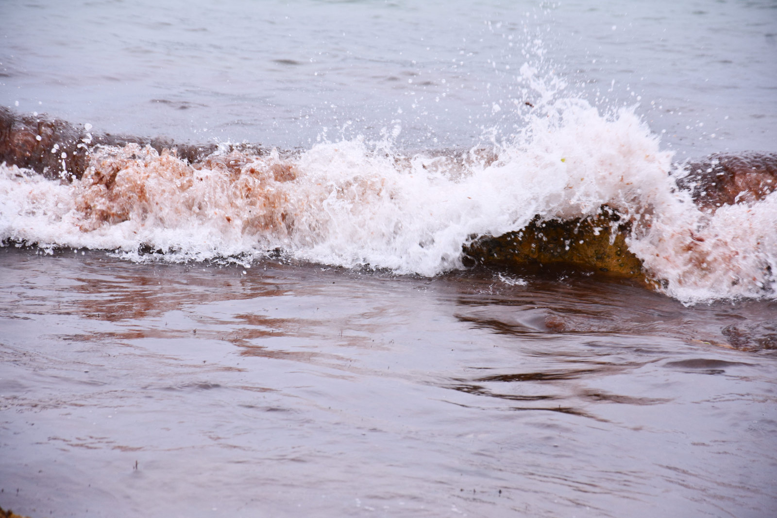 Incendio por vacaciones