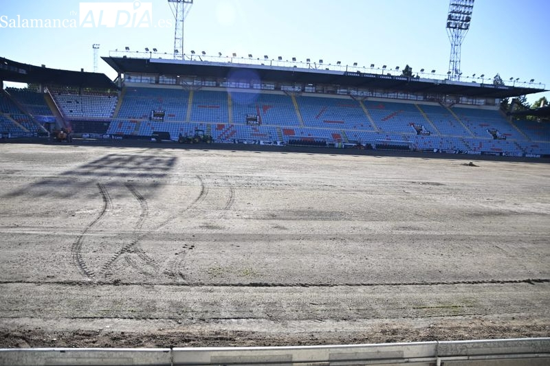 Nuevo tratamiento al césped del Helmántico para tapar las calvas: volverán las máquinas y se abonará
