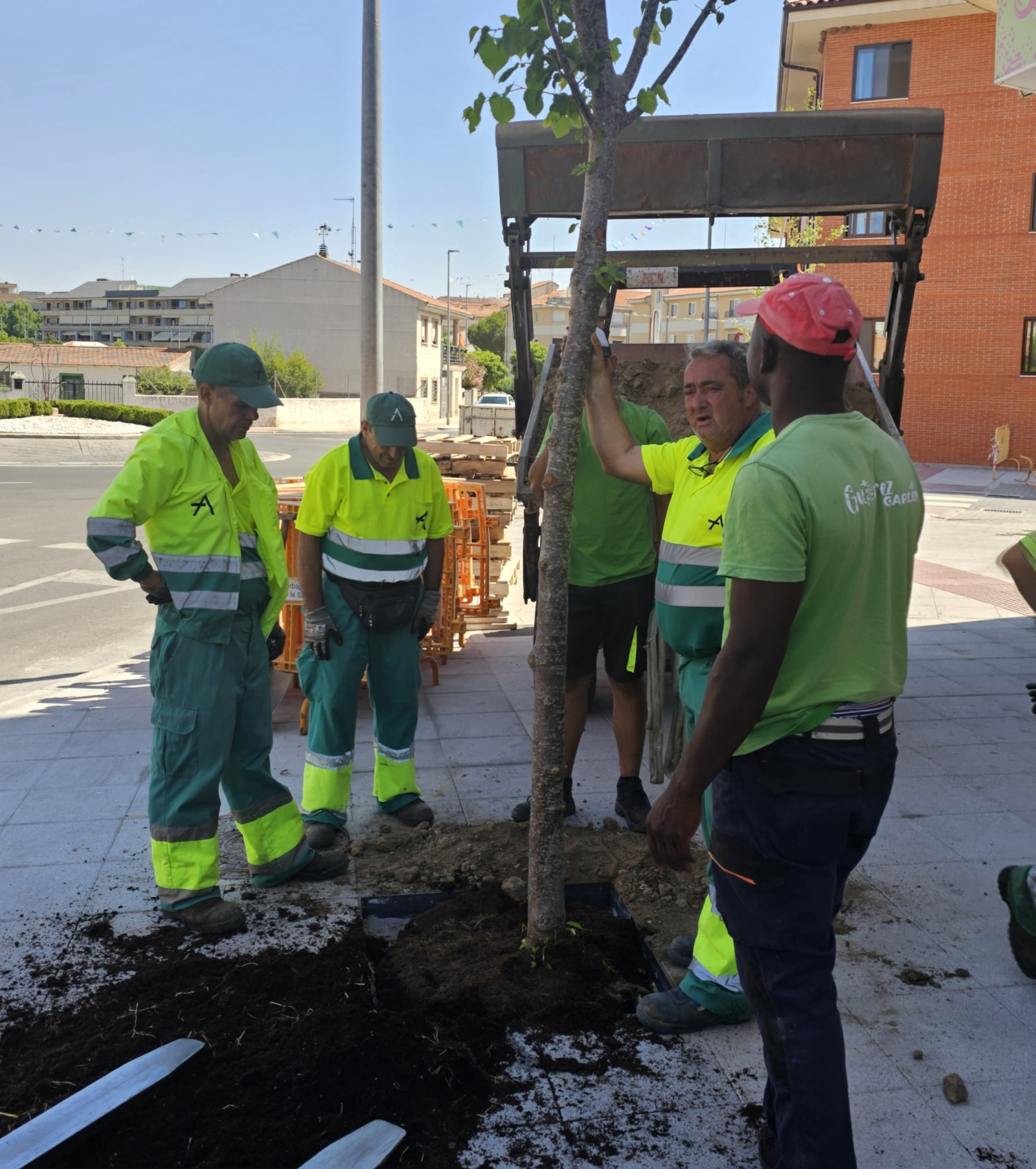 La plantación de árboles concluye el proyecto de urbanización de la calle Oeste
