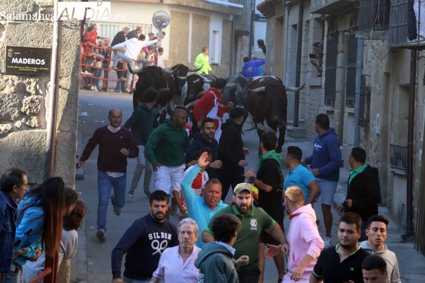 Rápido y peligroso encierro de Rollanejo en Aldeadávila con varios sustos en la plaza