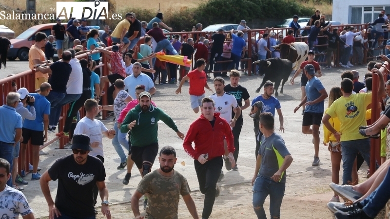 Pereña incorpora a los festejos taurinos de septiembre un evento mixto de rejones y recortes