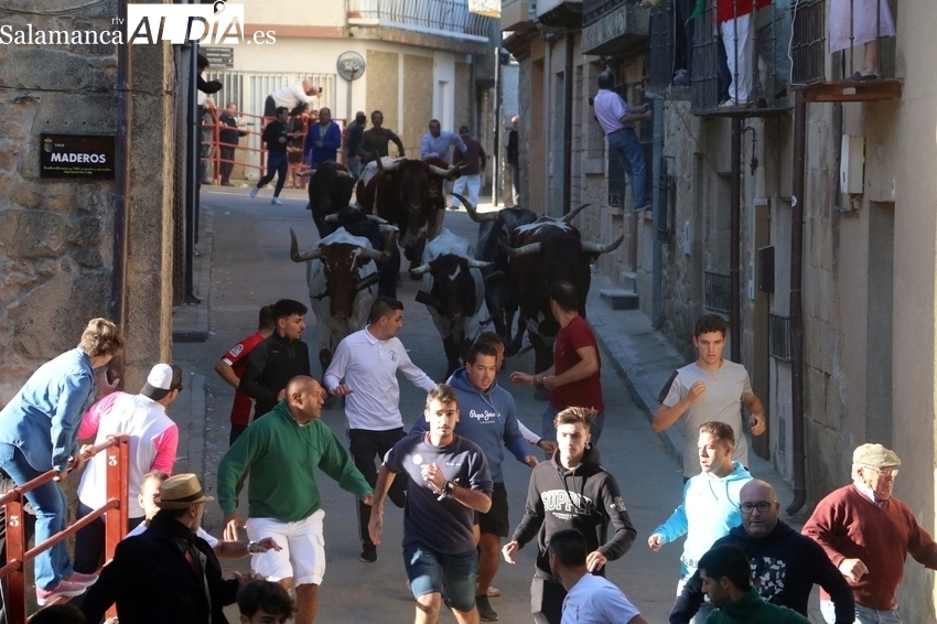 Complicado, lento y peligroso encierro de Madrazo en Aldeadávila