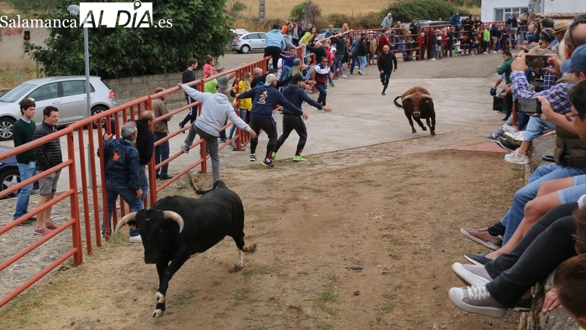 Pereña vivirá la tarde del 8 de septiembre un festejo mixto con rejones y recortes