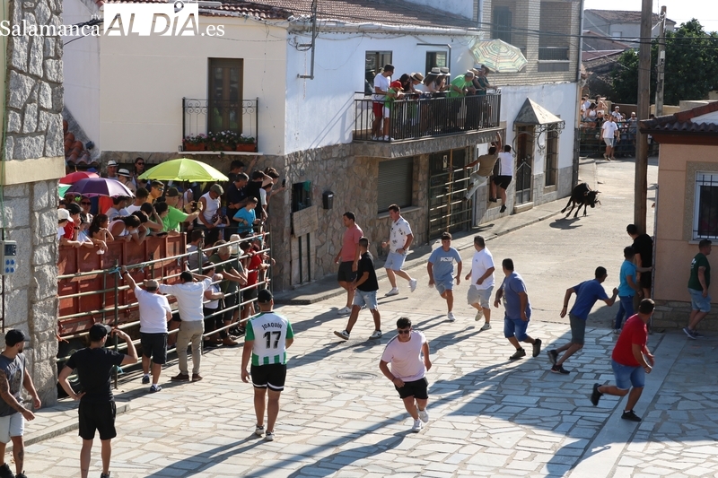 Las fiestas de Peralejos de Abajo cobran sabor taurino con un entretenido encierro urbano