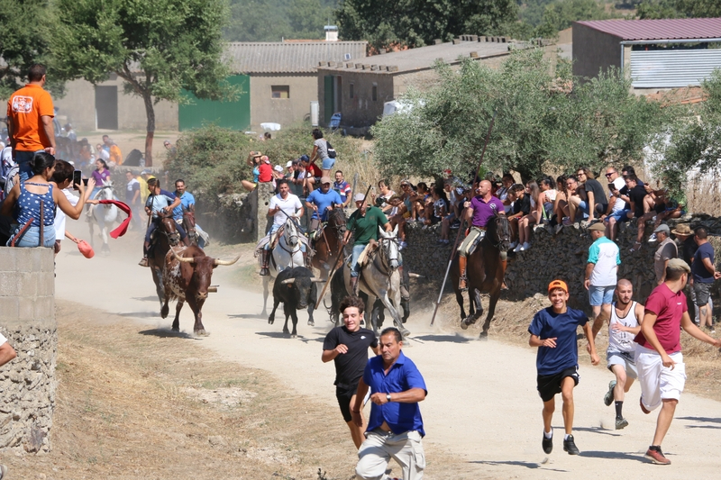 Emocionante encierro de Miranda de Pericalvo en Lumbrales para despedir las fiestas