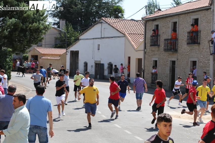Las emociones llenan el día grande de la Virgen de Caballeros en Villavieja de Yeltes