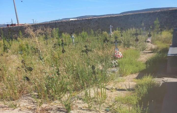 Malestar por la hierba descontrolada entre tumbas en un área del Cementerio mirobrigense