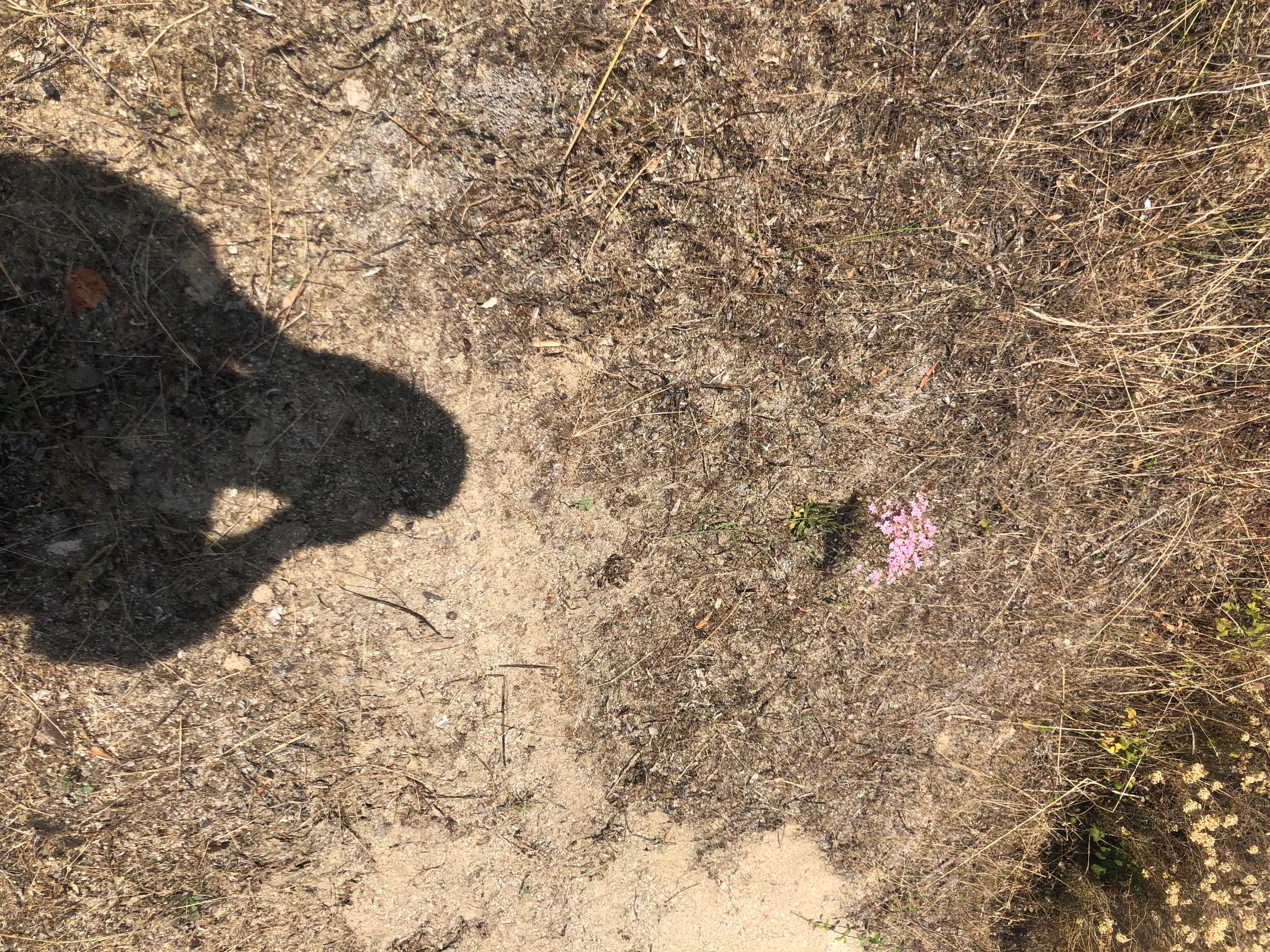 A dimensão das coisas