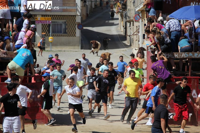 Multitudinario primer encierro de las fiestas de Vilvestre con novillos de Espioja